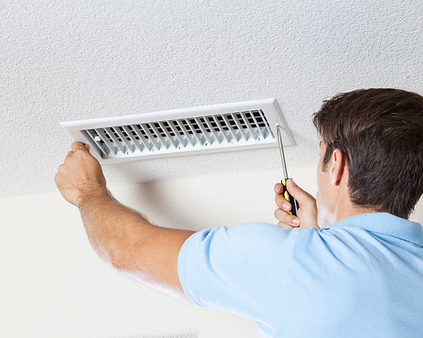 Best Mold Odor Removal Services  in Fords Prairie, WA