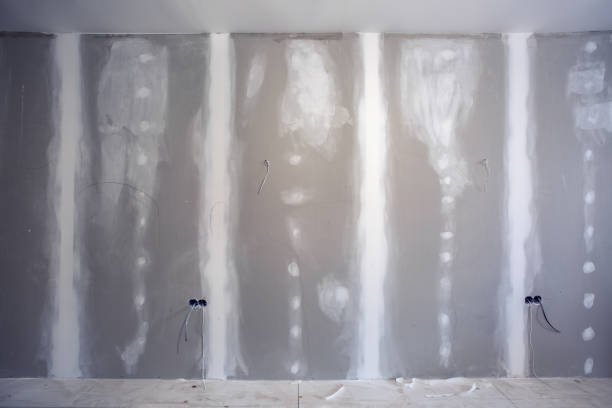 Best Asbestos and Lead Testing During Mold Inspection  in Fords Prairie, WA